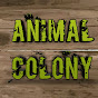 ANIMAL COLONY