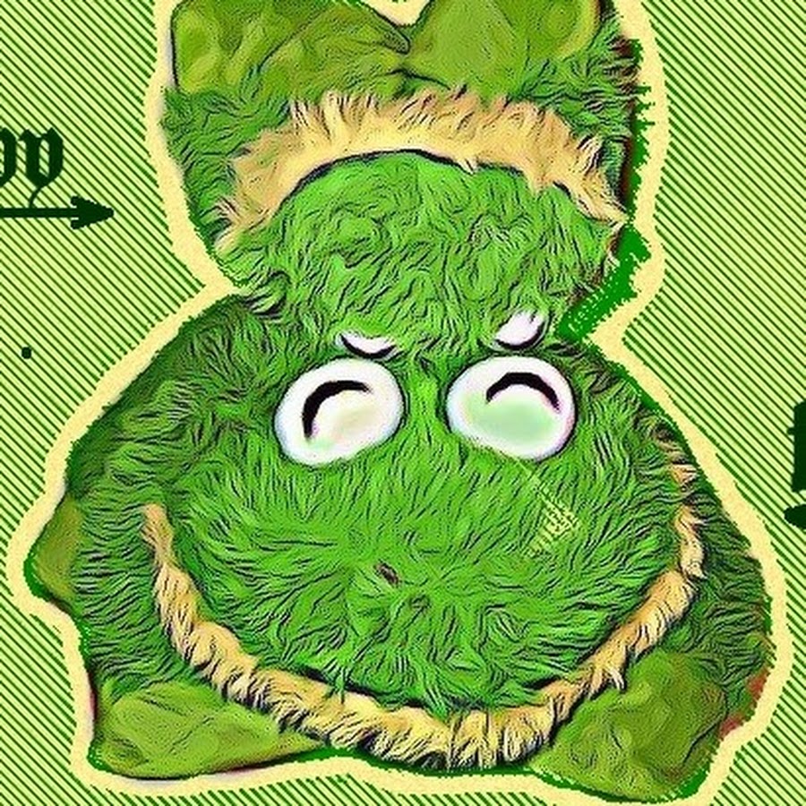 Dookie Water YouTube