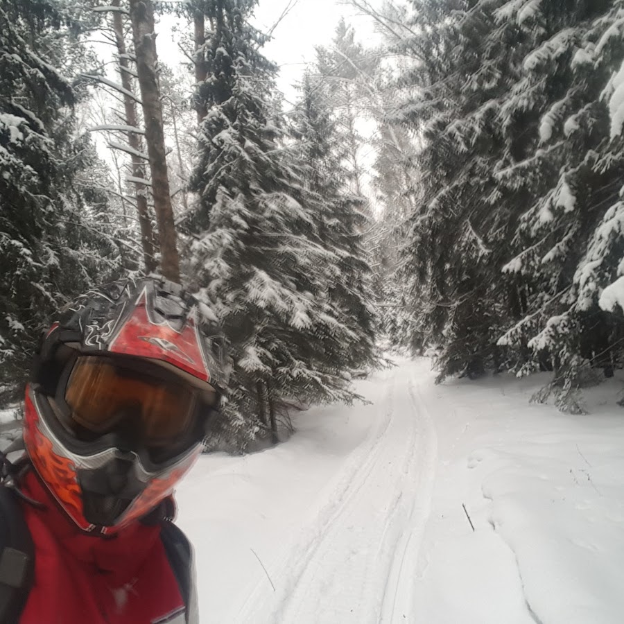 Ревущие в глуши. Ревущие в глуши. Дом в лесу. Деревенский домик. Ревущие в глуши.