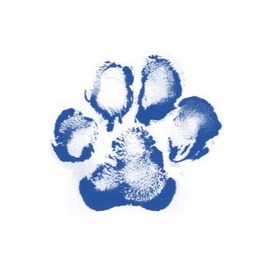 Paw Print Genetics Youtube