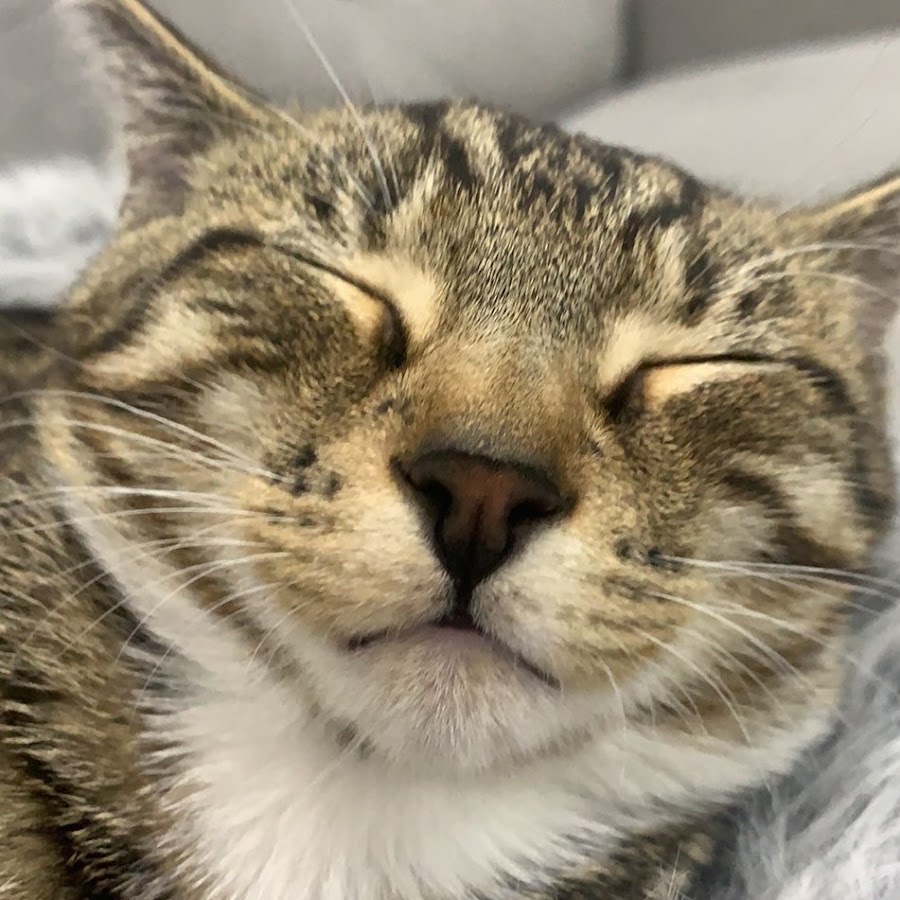 Jessica Thomson - YouTube