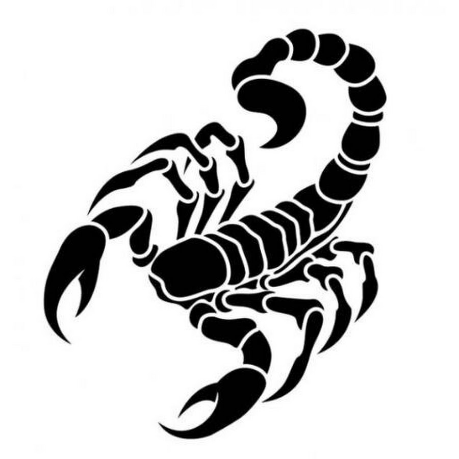 Скорпион рисунок