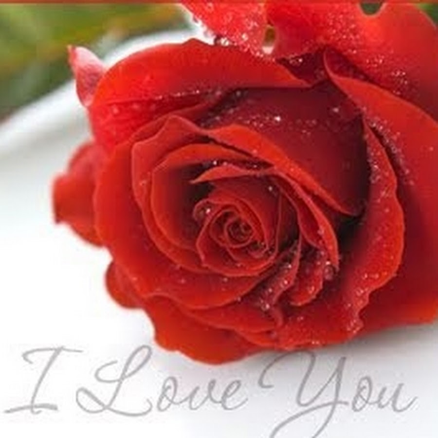 Rose says. Rose says. Velvet rose besties. Blackpink. Rose says.