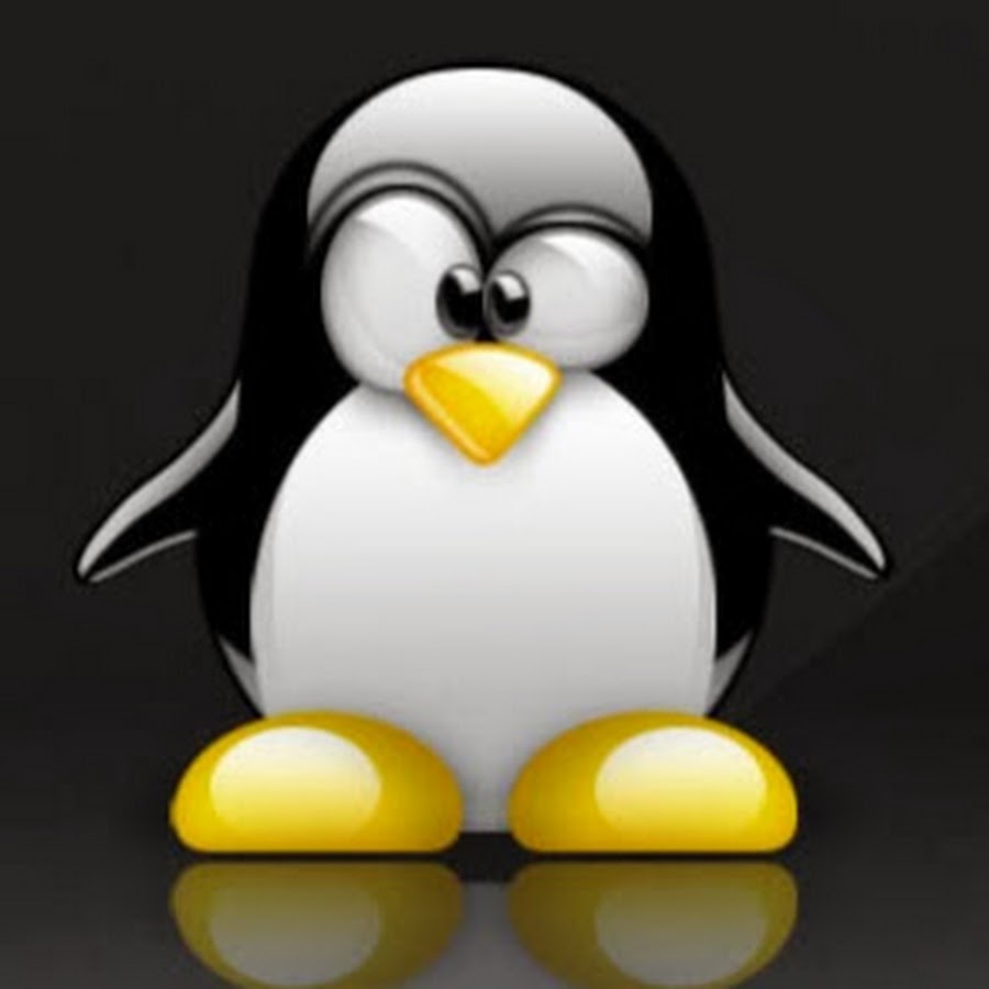 пингвин кафе оркестра. Penguin mp3. три пингвина. Penguin mp3. Club penguin dance contest.