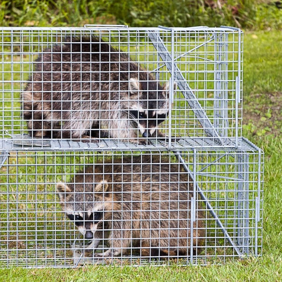 Wildlife Control Training Group 