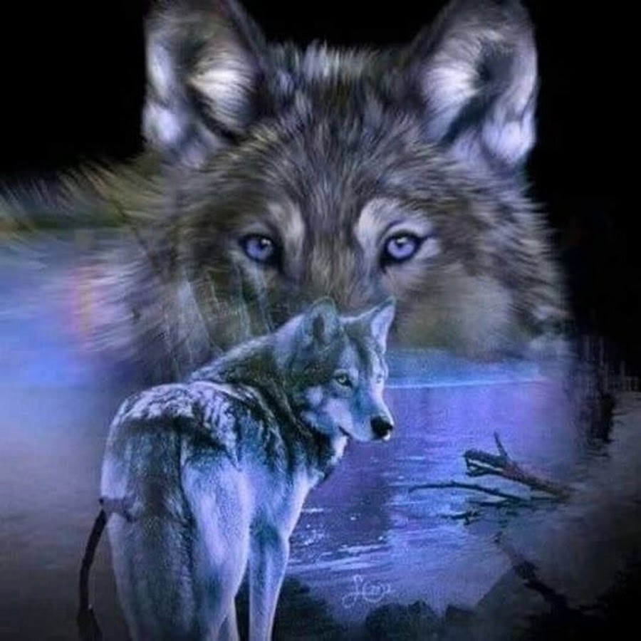 Seven wolves. PIKMIX С волками. Волка духовный путь. Wolf and Owl.