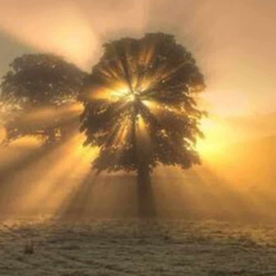 Light and Truth YouTube