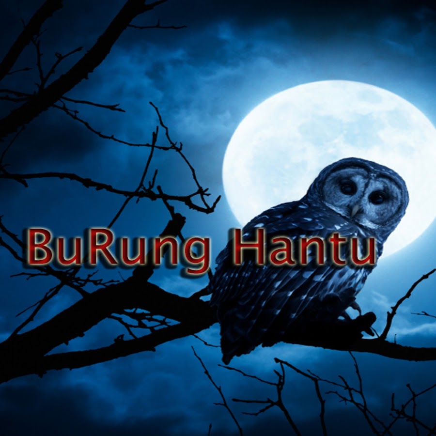 BURUNG HANTU 