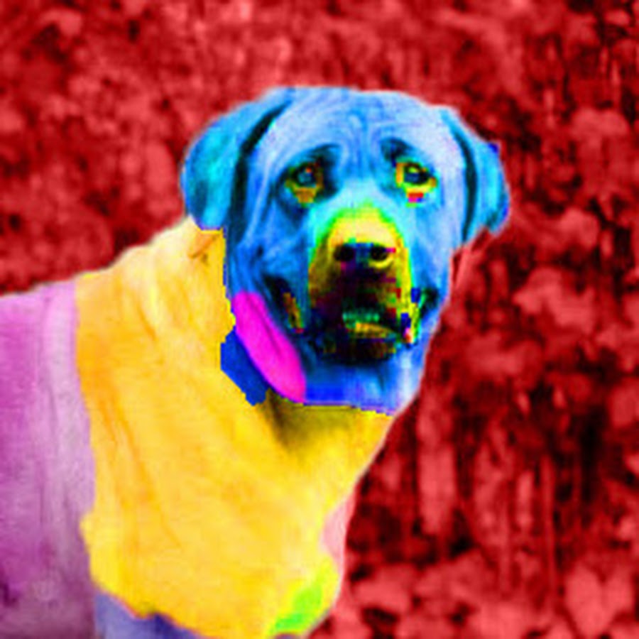 わーすごい Youtube