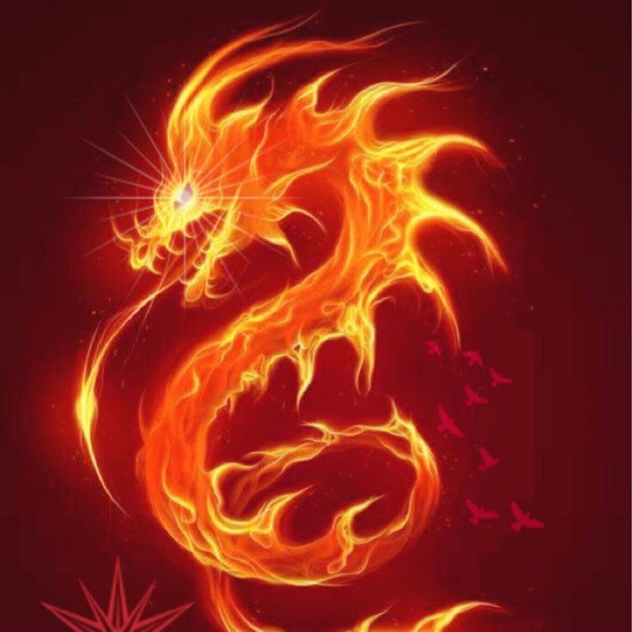 Дракон темного пламени. Дракон Огняник. Огненный дракон. Огненная змея. Китайский Огненный дракон.