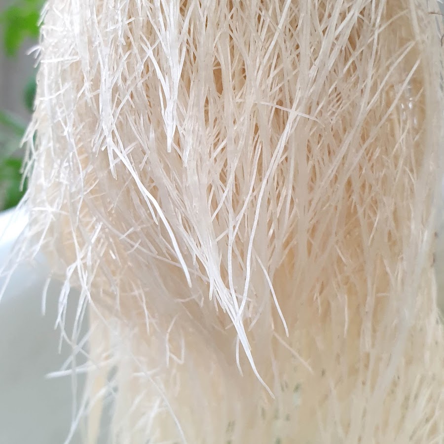 huge cucumbers plants growing in aeroponic system at