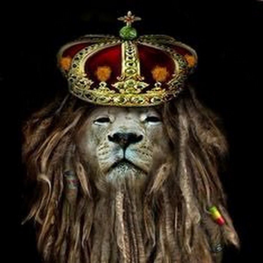 Лев с короной картинка. Лев растафари. Лев с короной на голове. Голова Льва. Лев царь в короне.