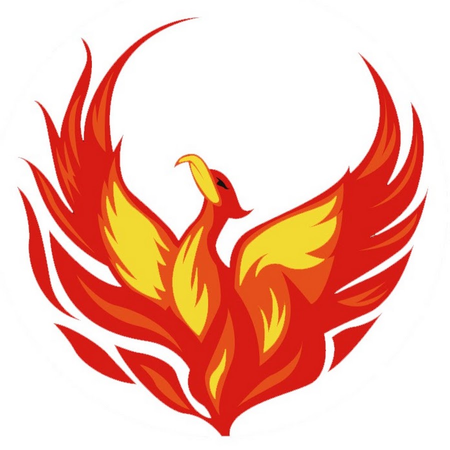 Phoenix Information Systems - YouTube