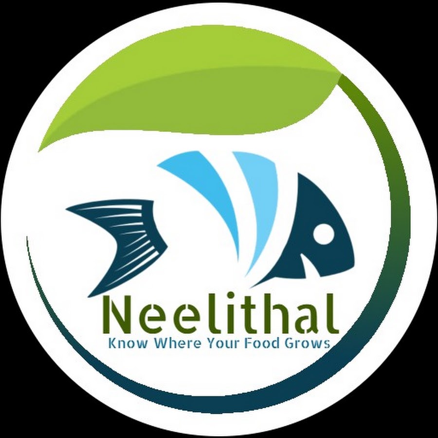 neelithal - youtube
