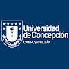 Universidad de Concepción Campus Chillán - YouTube