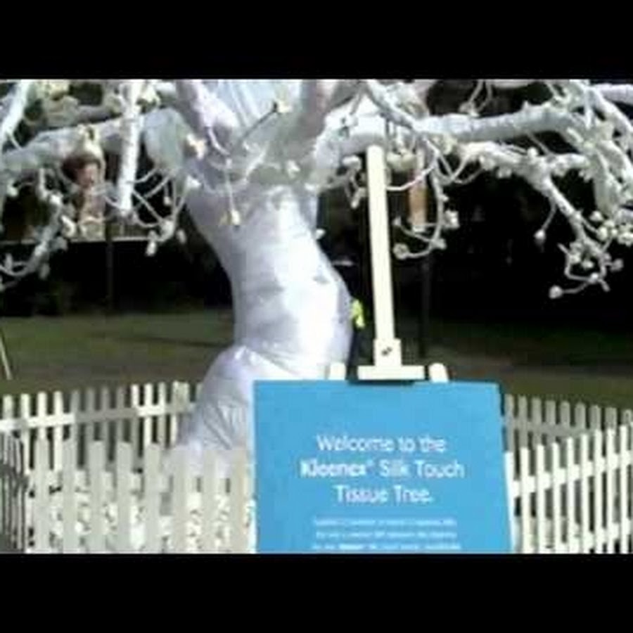 TissueTree - YouTube