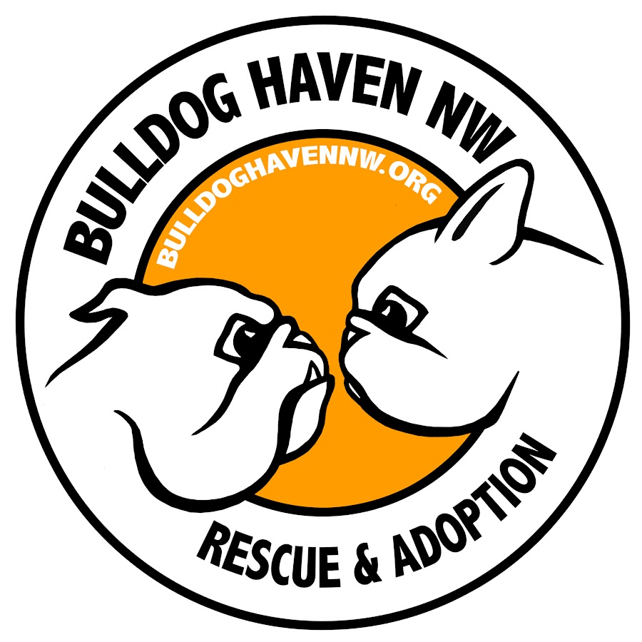 BulldogHaven - YouTube