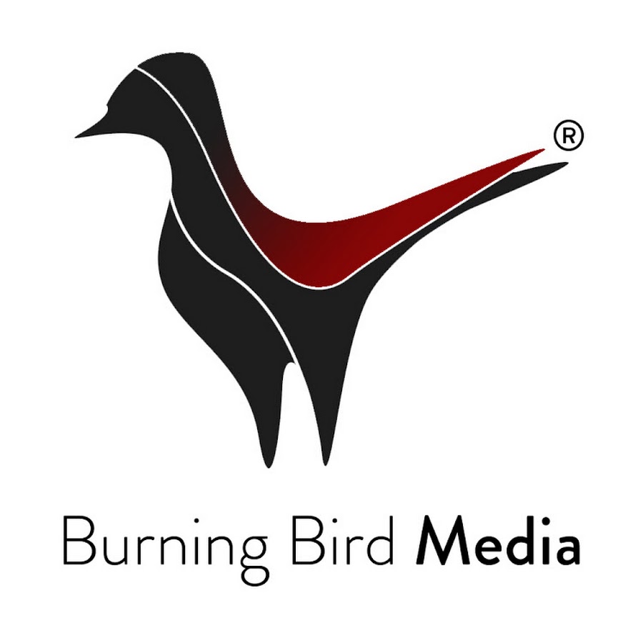 Burn the bird. Burning bird. Феникс зин. Bird burn. Burn the bird.