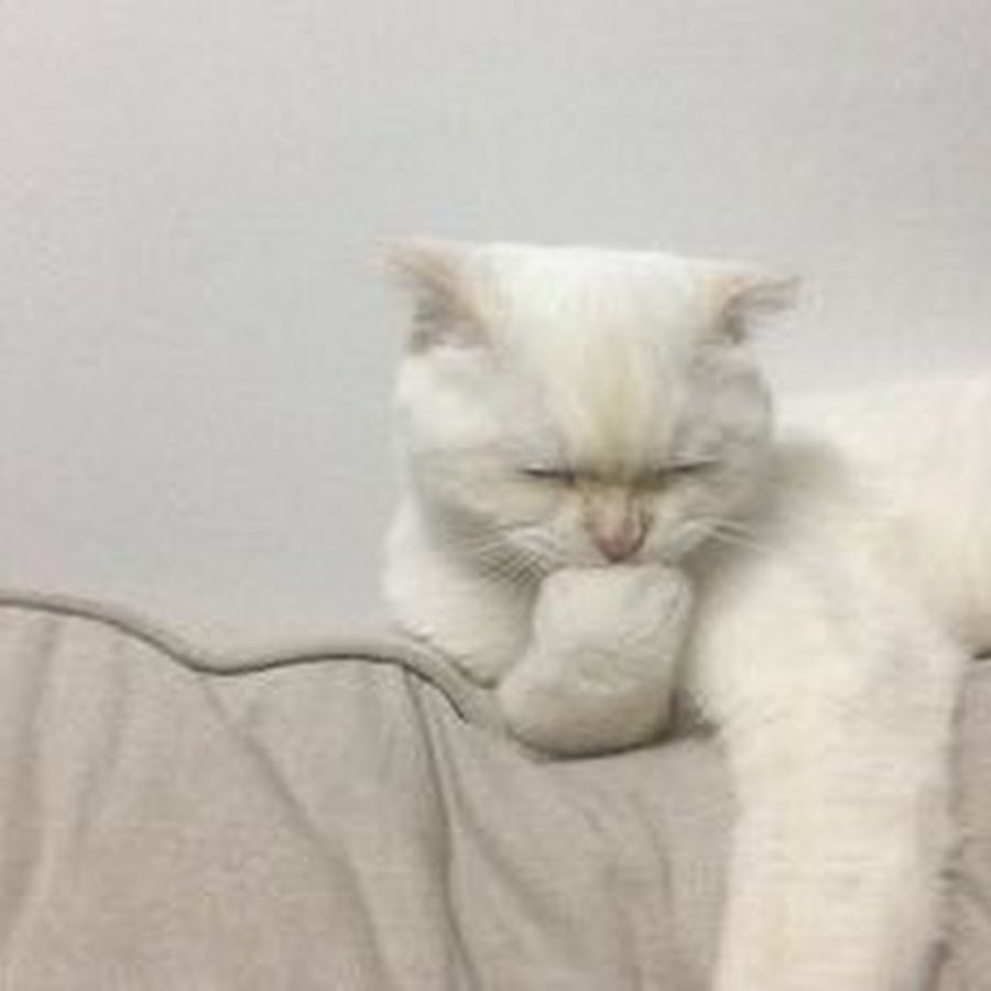 Nightcore gacha Kay - YouTube