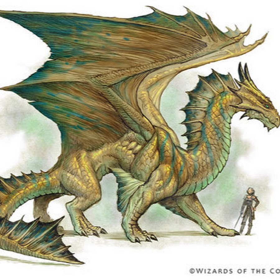 Bronze Dragon YouTube