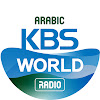 What could KBS World Arabic buy with $100 thousand?