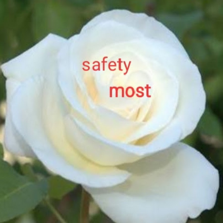 White Rose fields