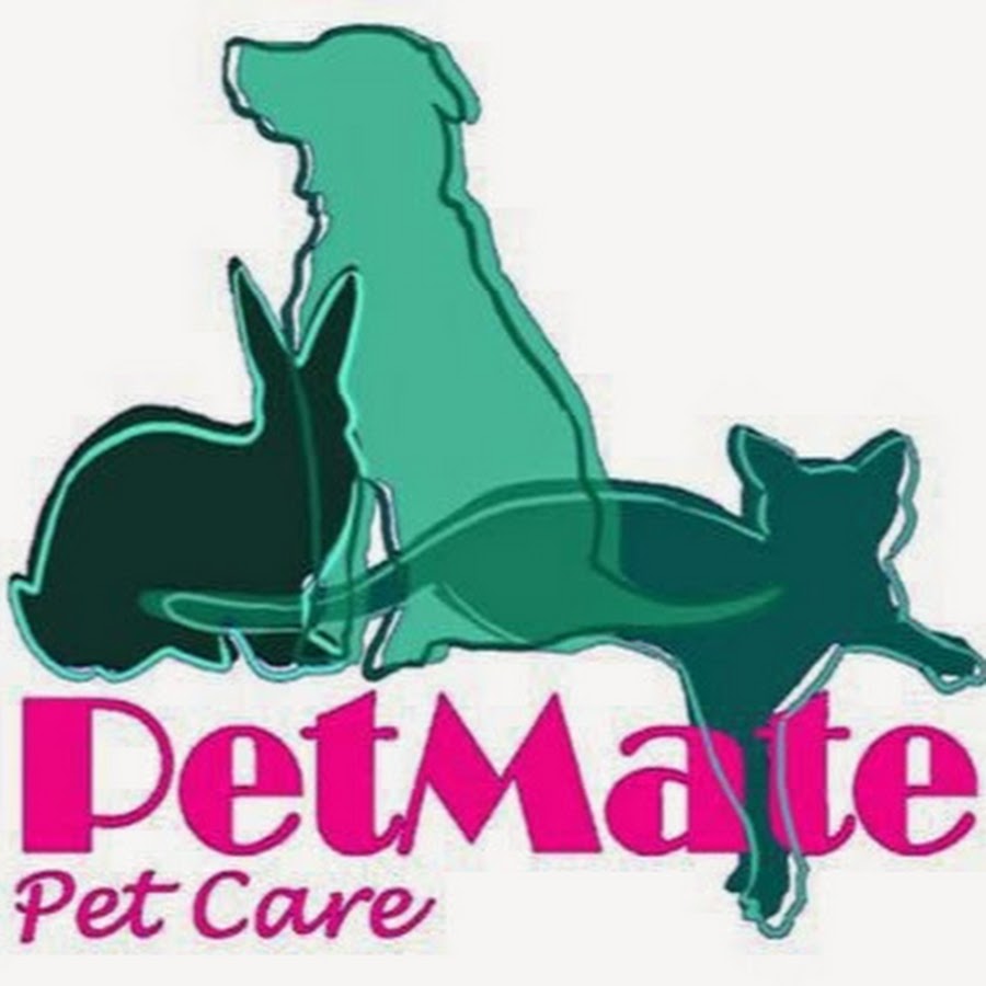 Pet Mate Pet Care YouTube