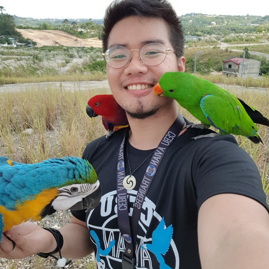 Birds of Cebu 