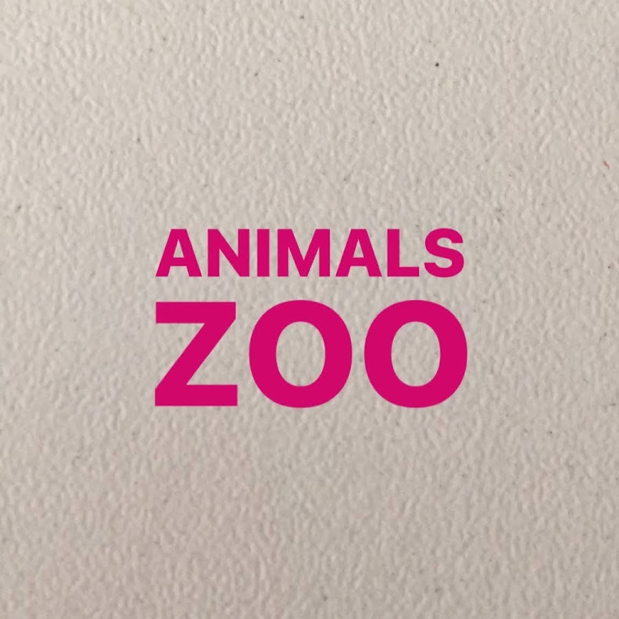 Animals Zoo - YouTube