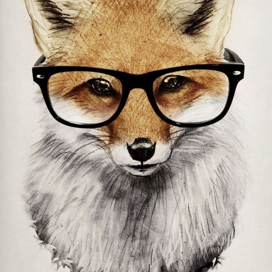 coolFoXGlAsSes YouTube