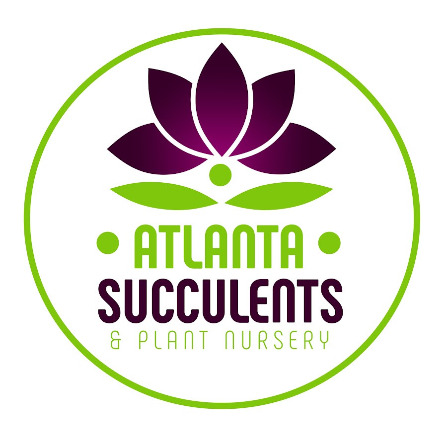 Atlanta Succulents &amp; Plant Nursery YouTube