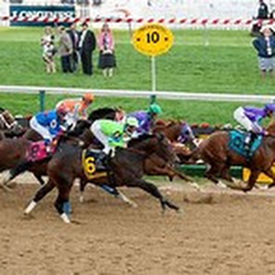 The Derby Stallion Full Movie Youtube