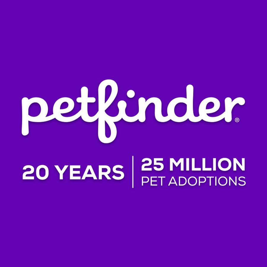 Petfinder YouTube