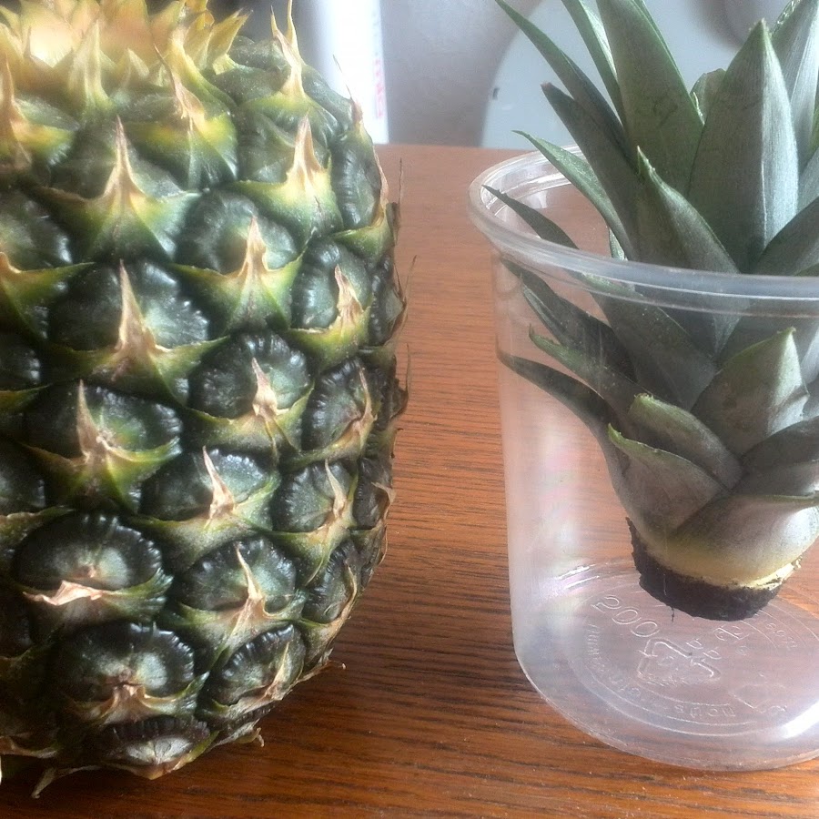 Spider man peter parker picture