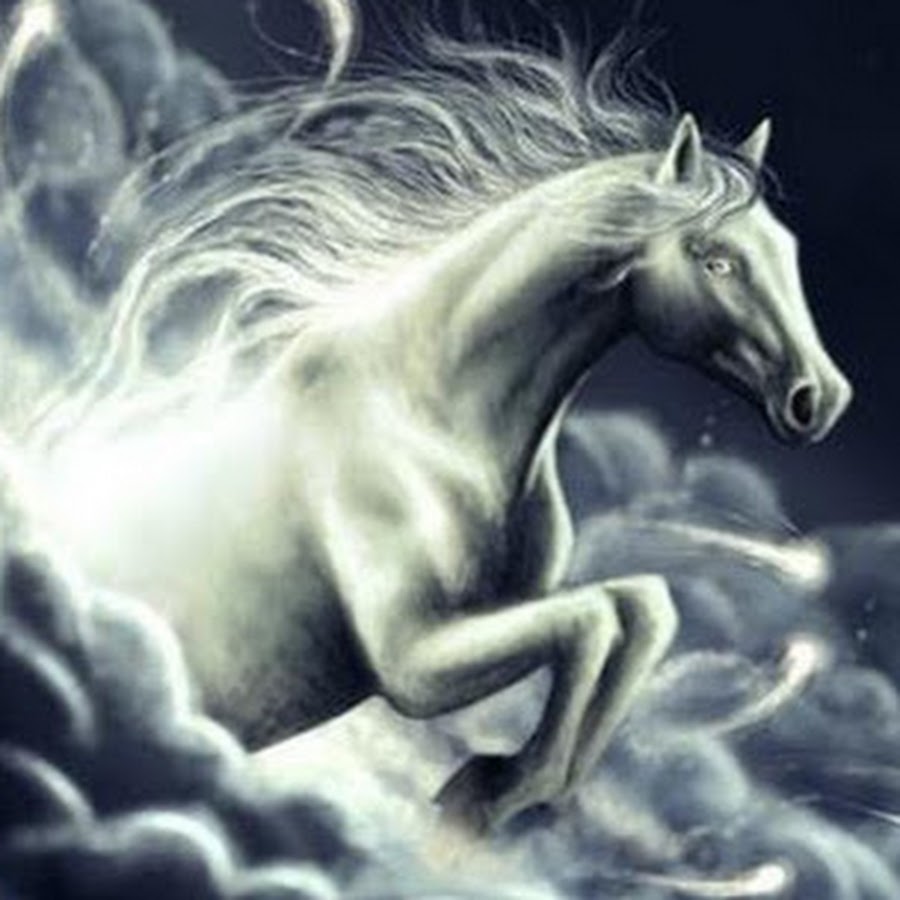 Catilina Catily YouTube