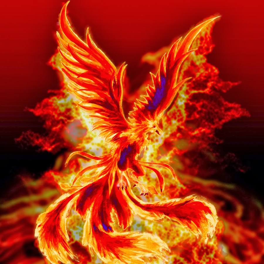 Картинка феникс высокое разрешение
