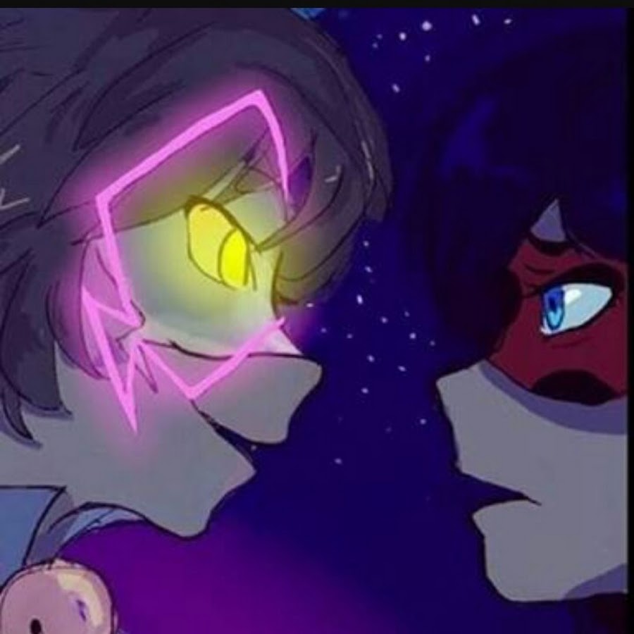 Mucize Ugur Bocegi İle Kara kedi YouTube