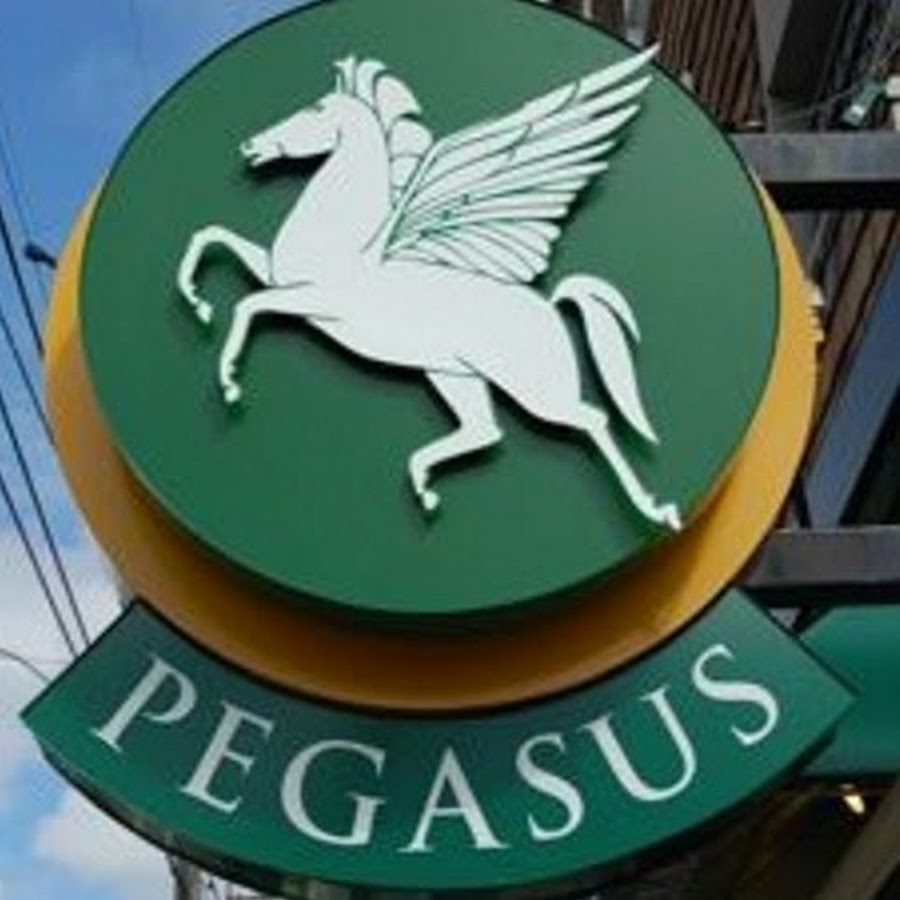Pegasus Pizza YouTube