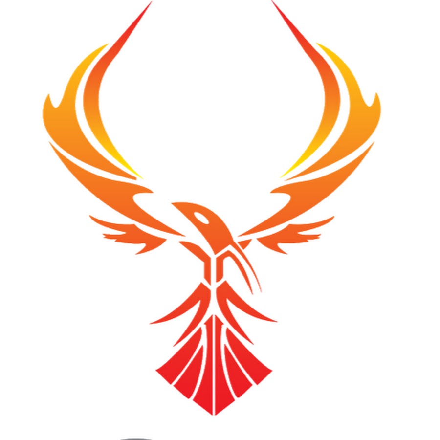 PHOENIX MOTORS OF RALEIGH NC INC YouTube