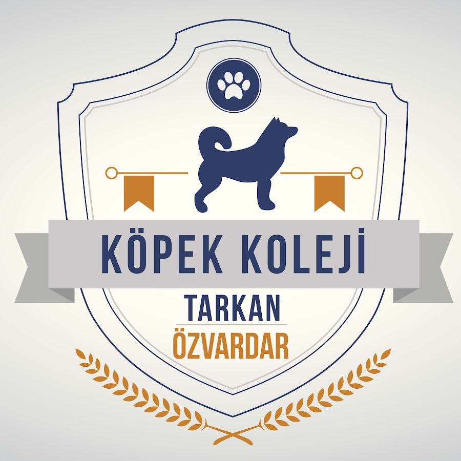 Köpek Koleji YouTube