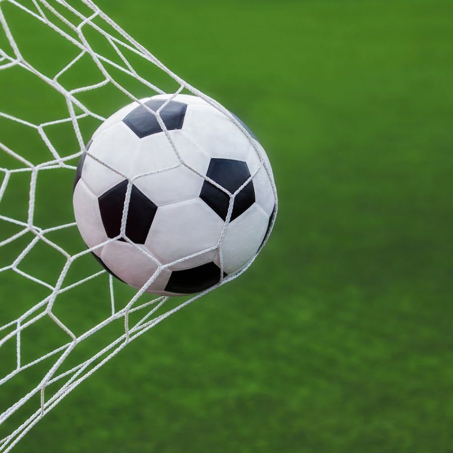 casa de aposta dinheiro gratis