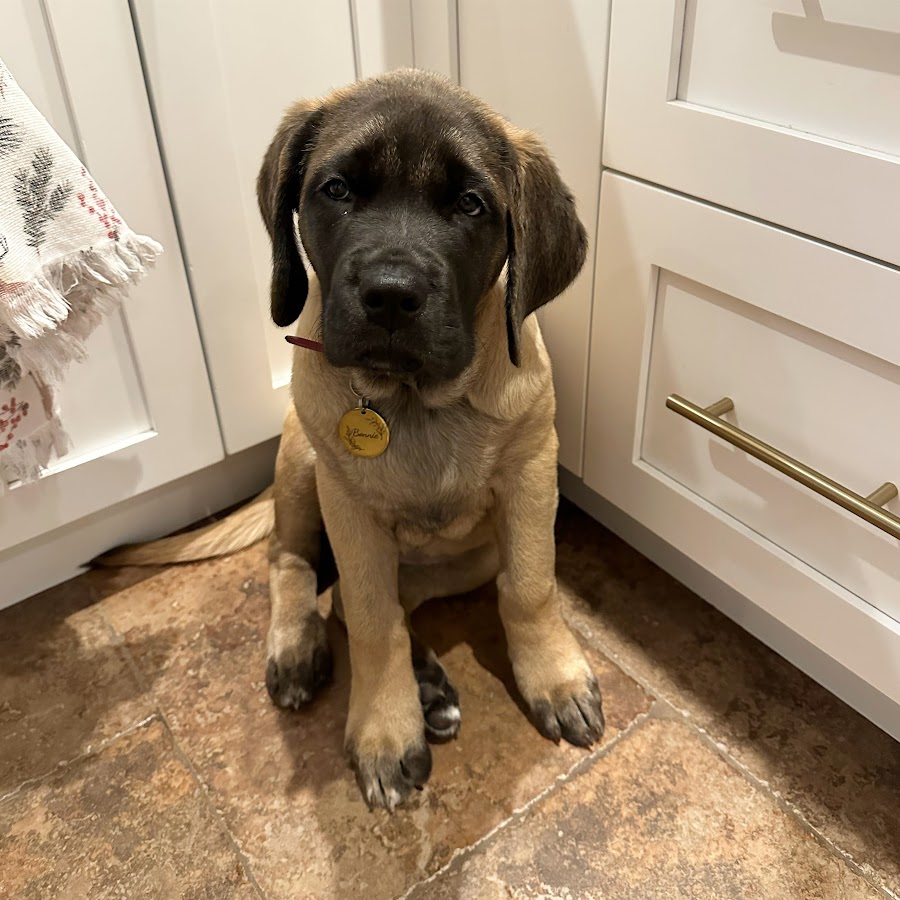 Lindsey Marlene - YouTube