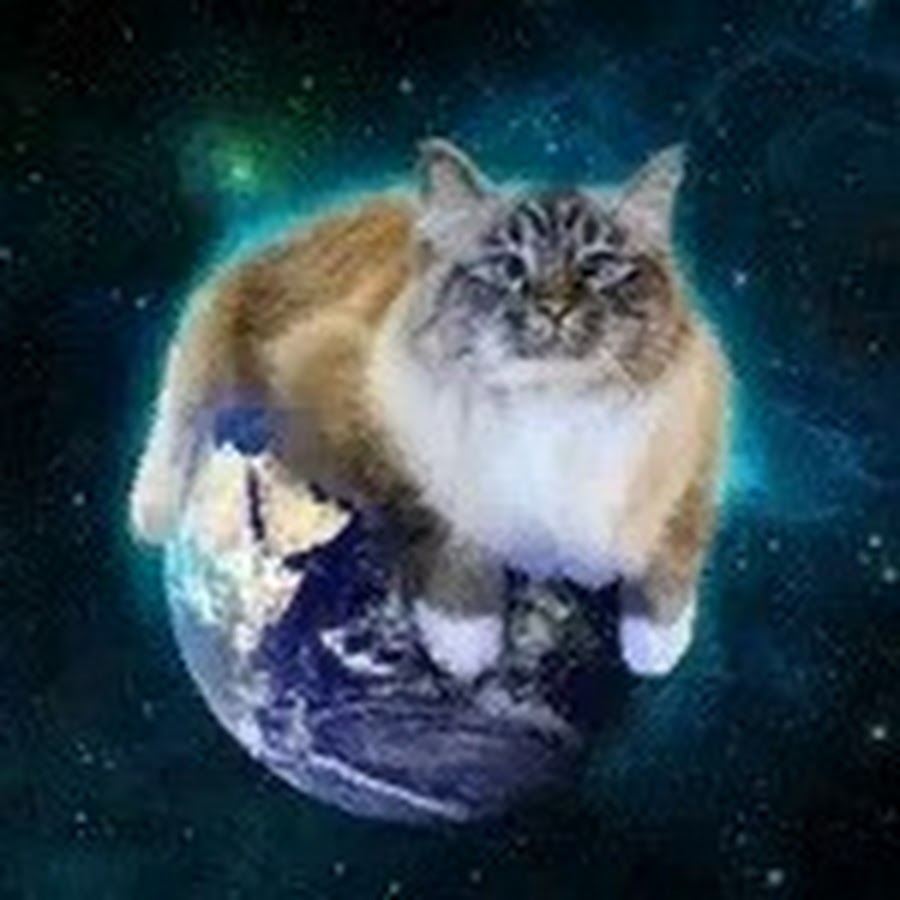 коты планеты земля. планета кошек. коте планета. земля кошка. кот план.