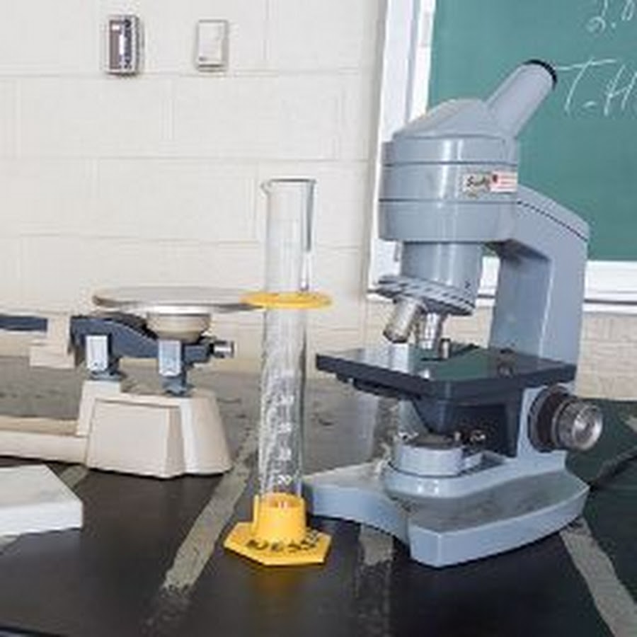 Rabbitholebd Sports - YouTube