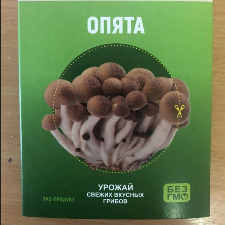 Грибница Домашняя Купить Интернет Магазин