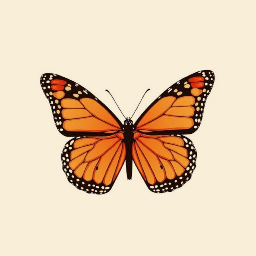 جوله في غرفه ريما وجوانا
