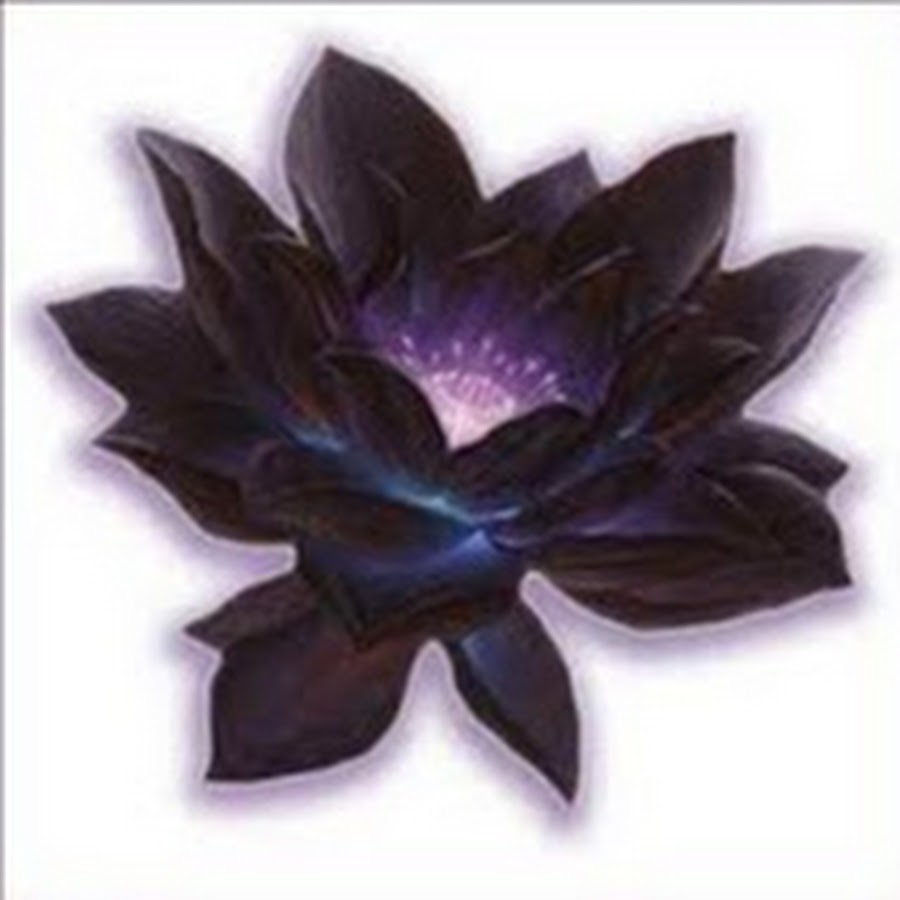 Black lotus com