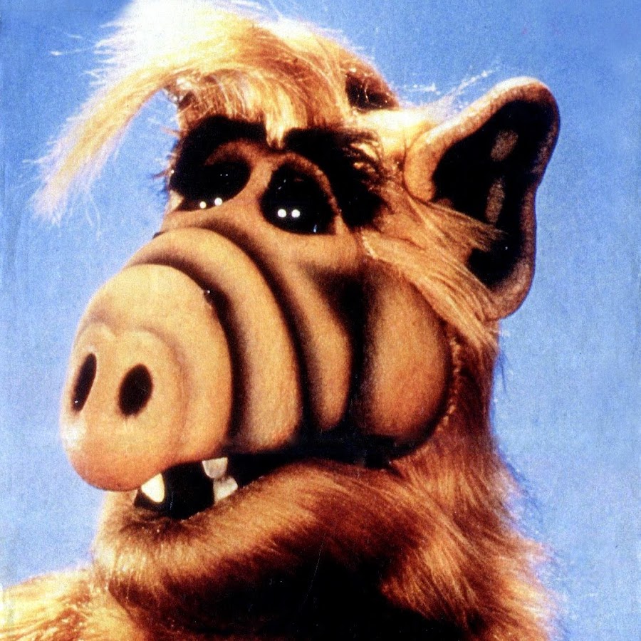 Альф фото из сериала картинки альфа