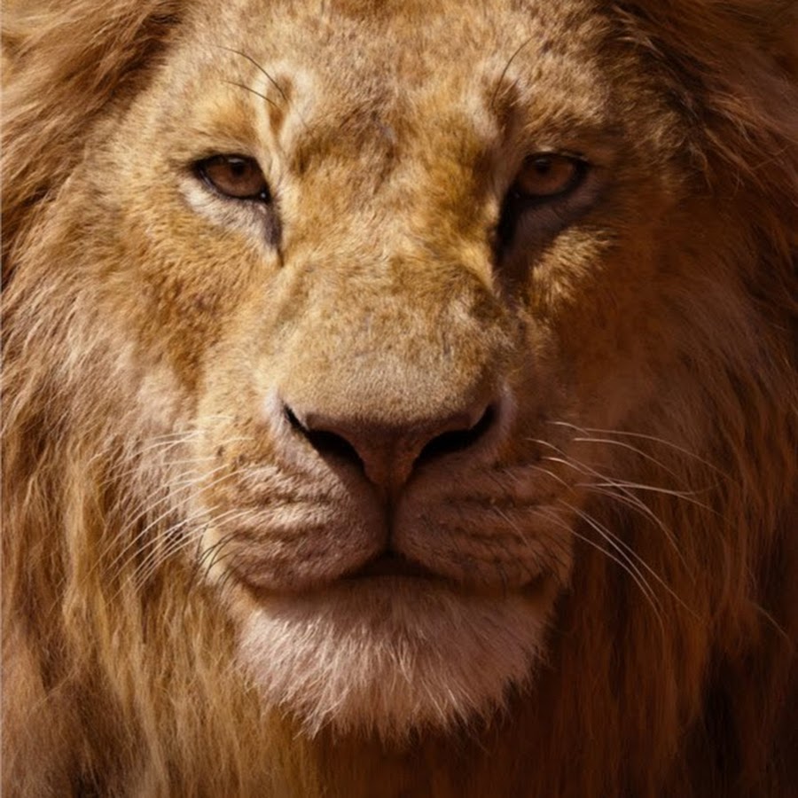 Jaden Groves - YouTube