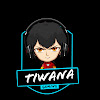 What could Tiwana Gaming buy with $100 thousand?